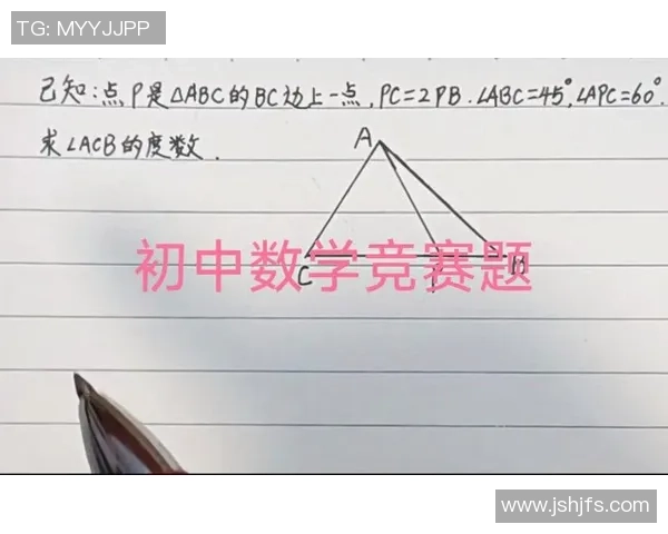 西安羽毛球队战术解析与训练策略探讨助力竞技水平提升 西安羽毛球队战术解析与训练策略探讨助力竞技水平提升