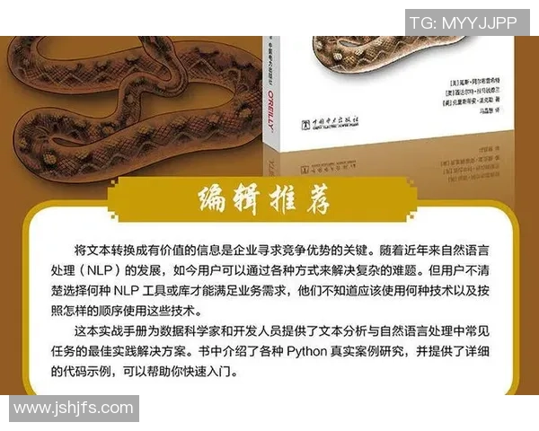 上海网球队包夹战术创新探索与实战应用全景分析